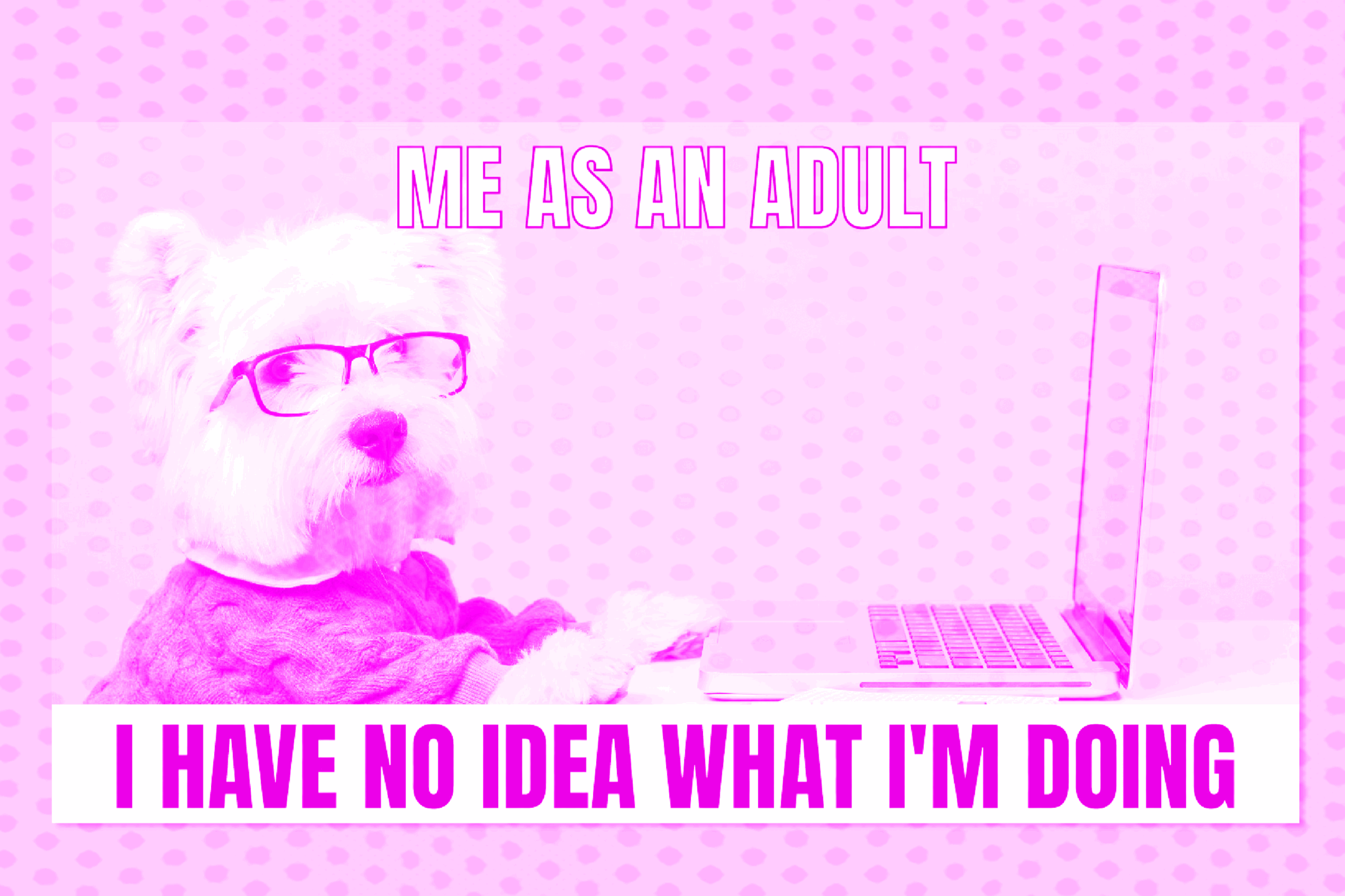 memes en estrategias virales B2B